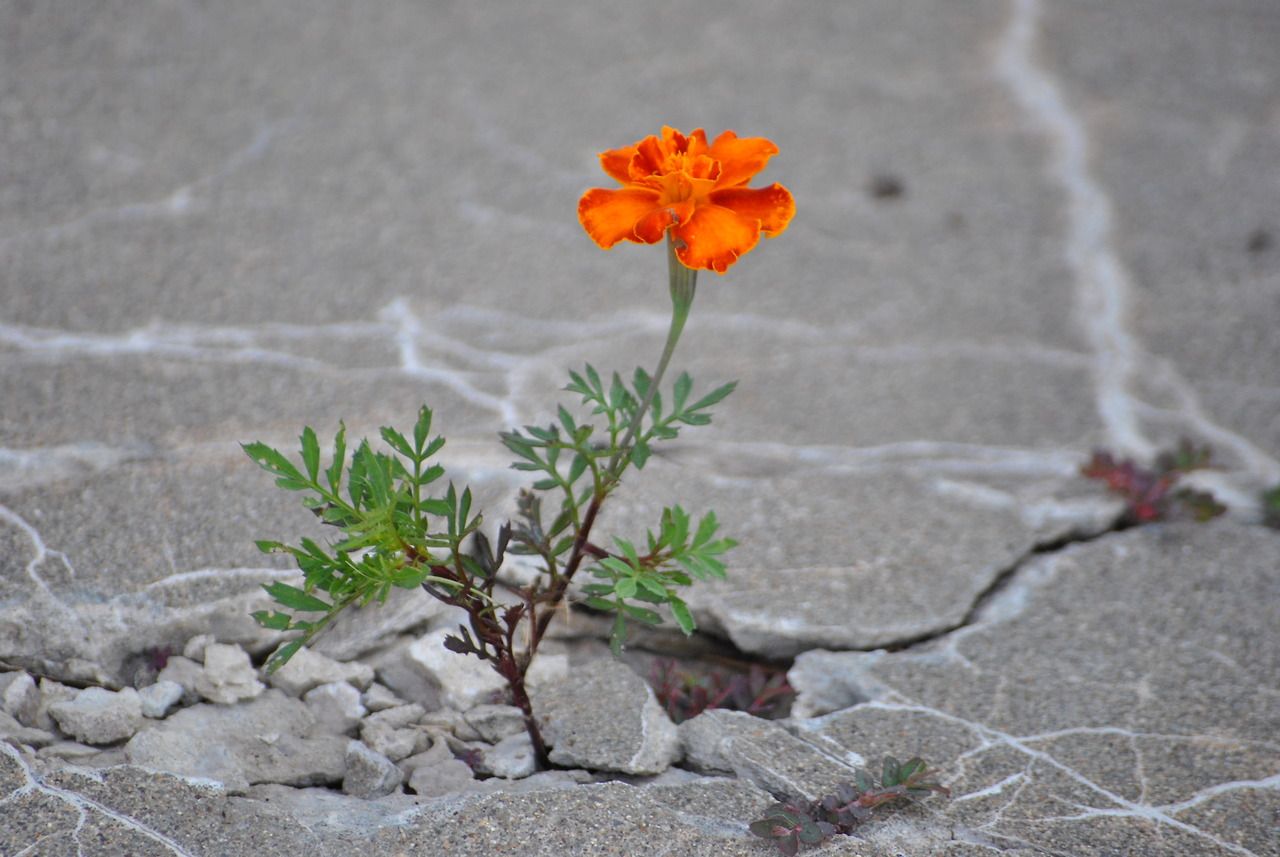 Concrete evidence …