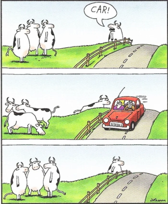 Gary Larson: ‘This was more than just a cow - this was an entire career I was looking at.’