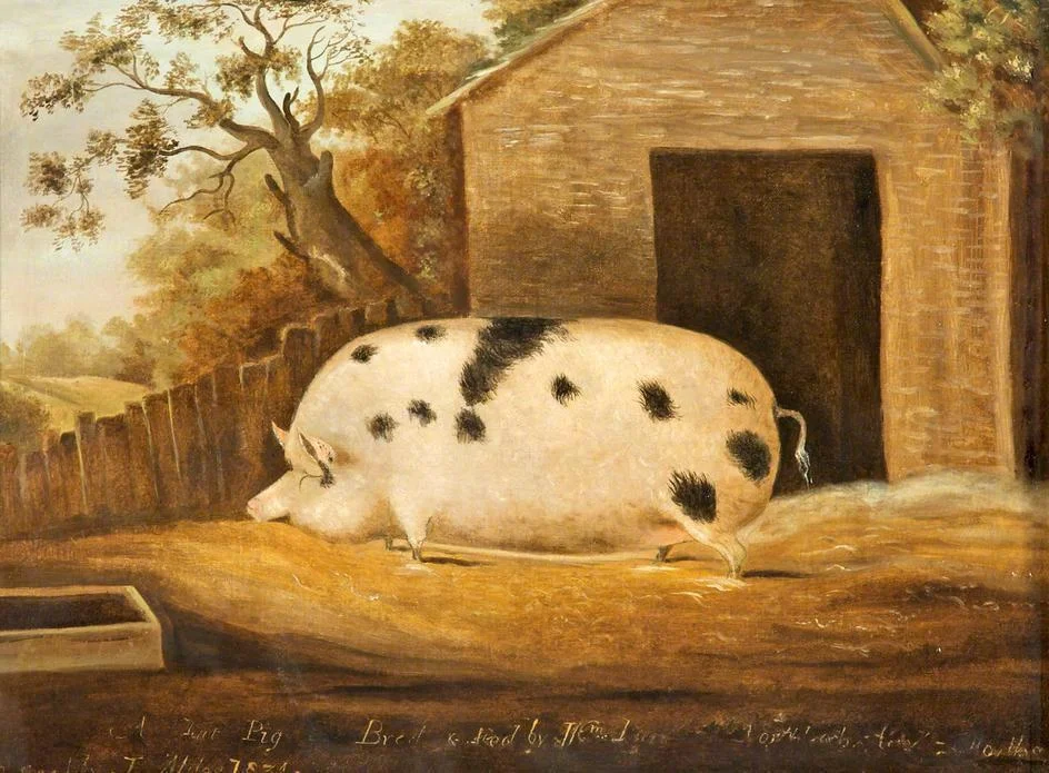 Gloucester Old Spot by John Miles, 1834.