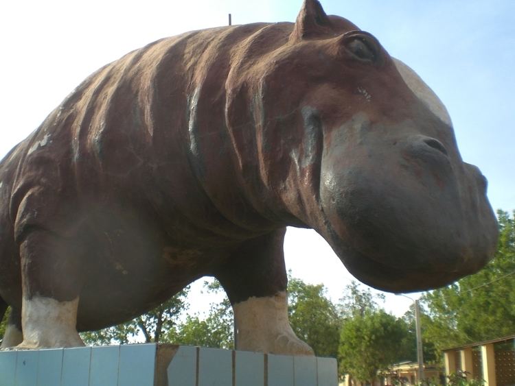 Hippo to the square: Bafoulabé in Mali