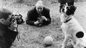 Pickles. Trophy dog is having a ball