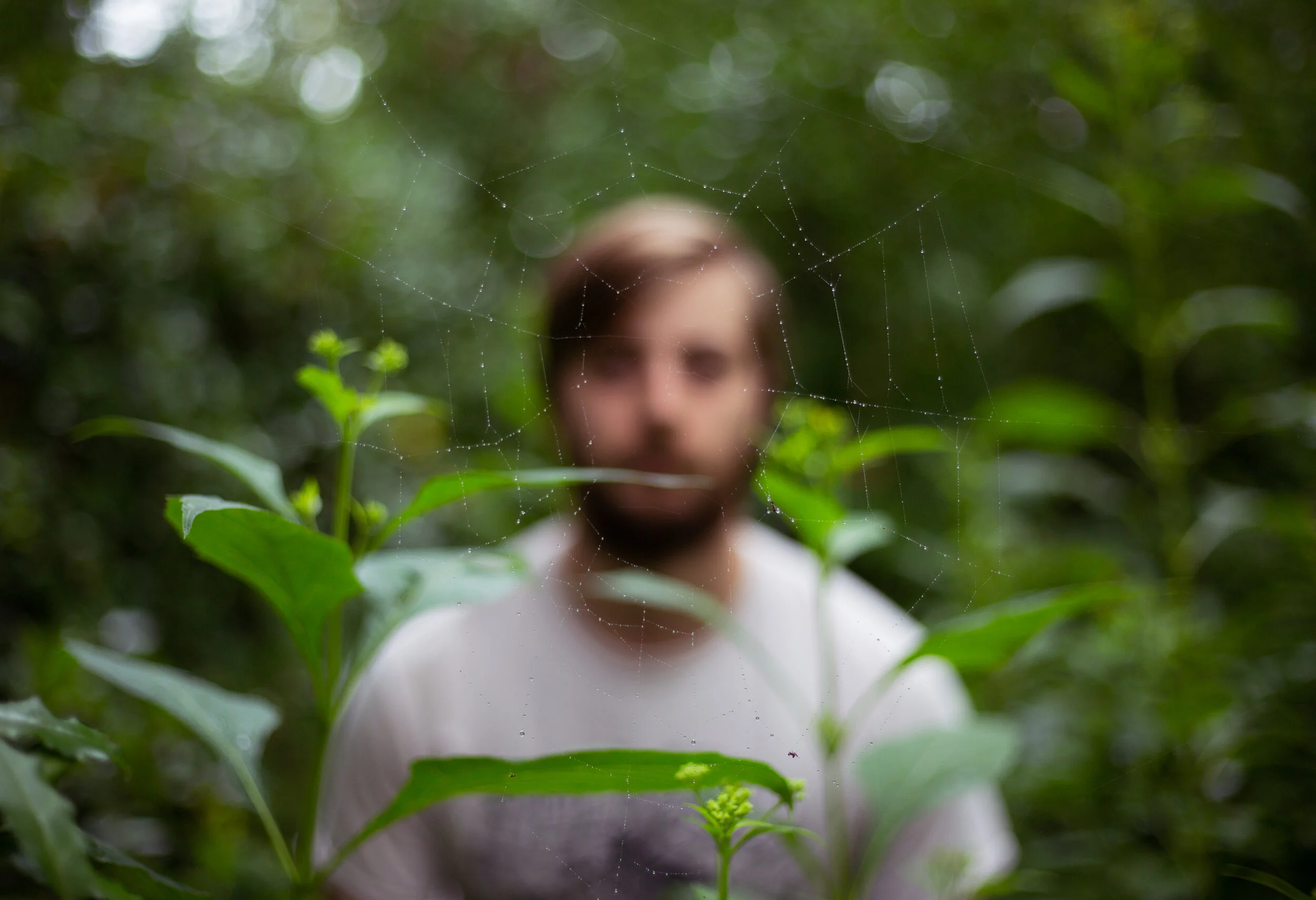 A musical web of delicacy - Matt Gaydar aka Glenn Echo