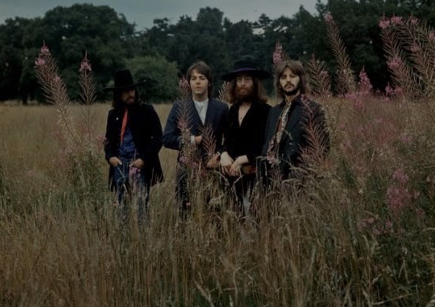 Beatles in grasslands.jpeg