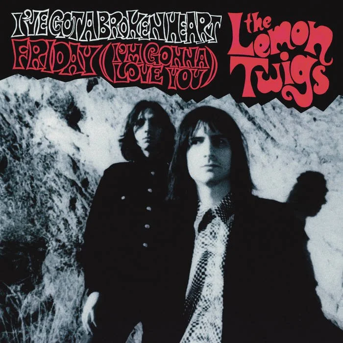The Lemon Twigs - I've Got A Broken Heart.jpeg