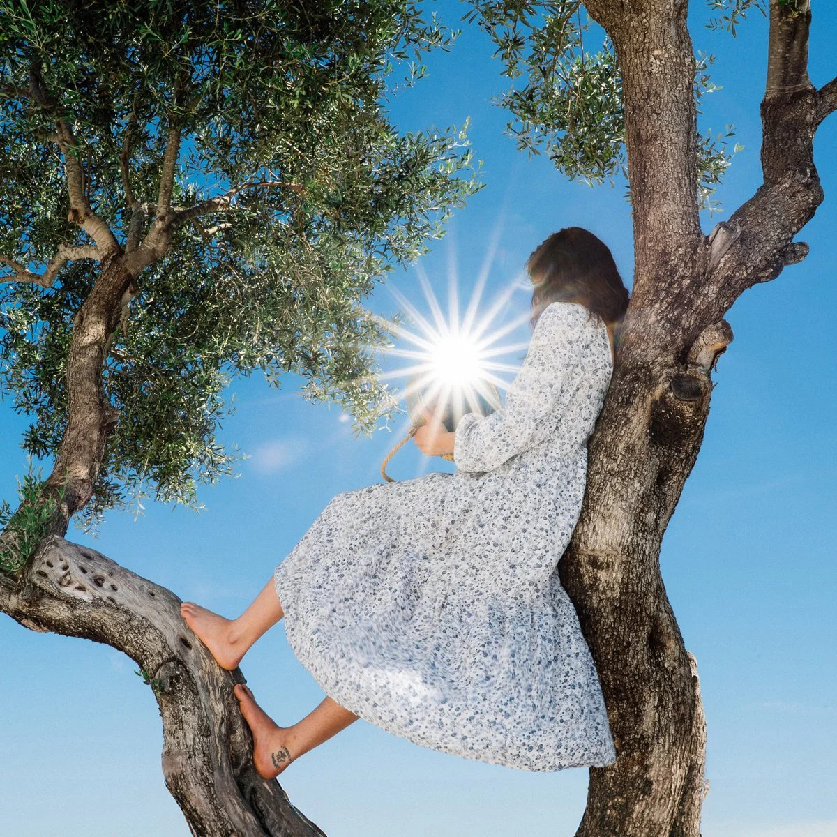 Eaves Wilder - Little Miss Sunshine.jpeg