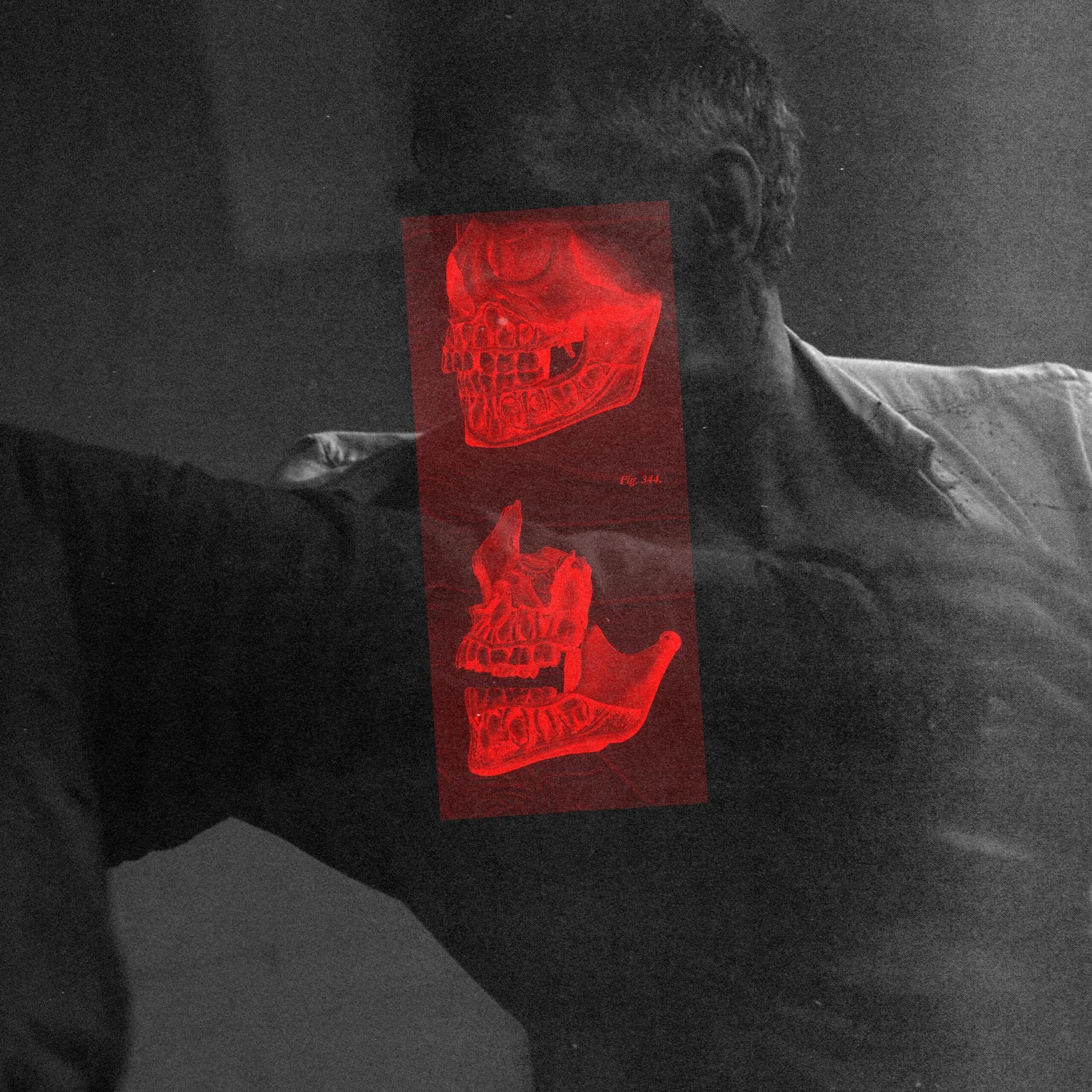 mount palomar feeding frenzy.jpg