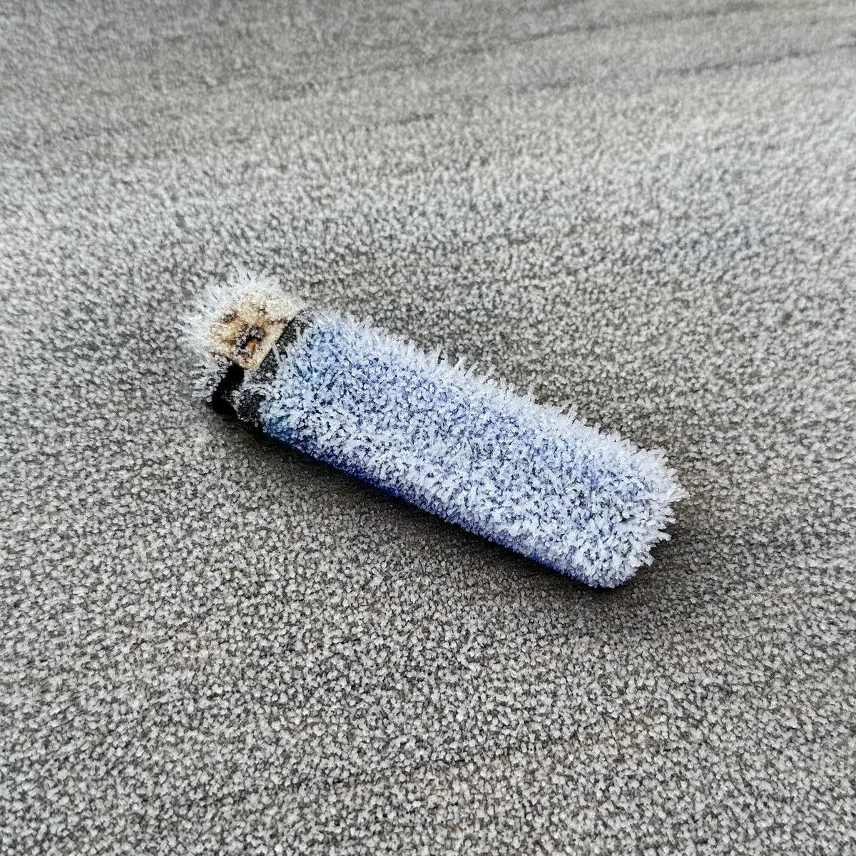 Max Winter - Candlelight.jpeg