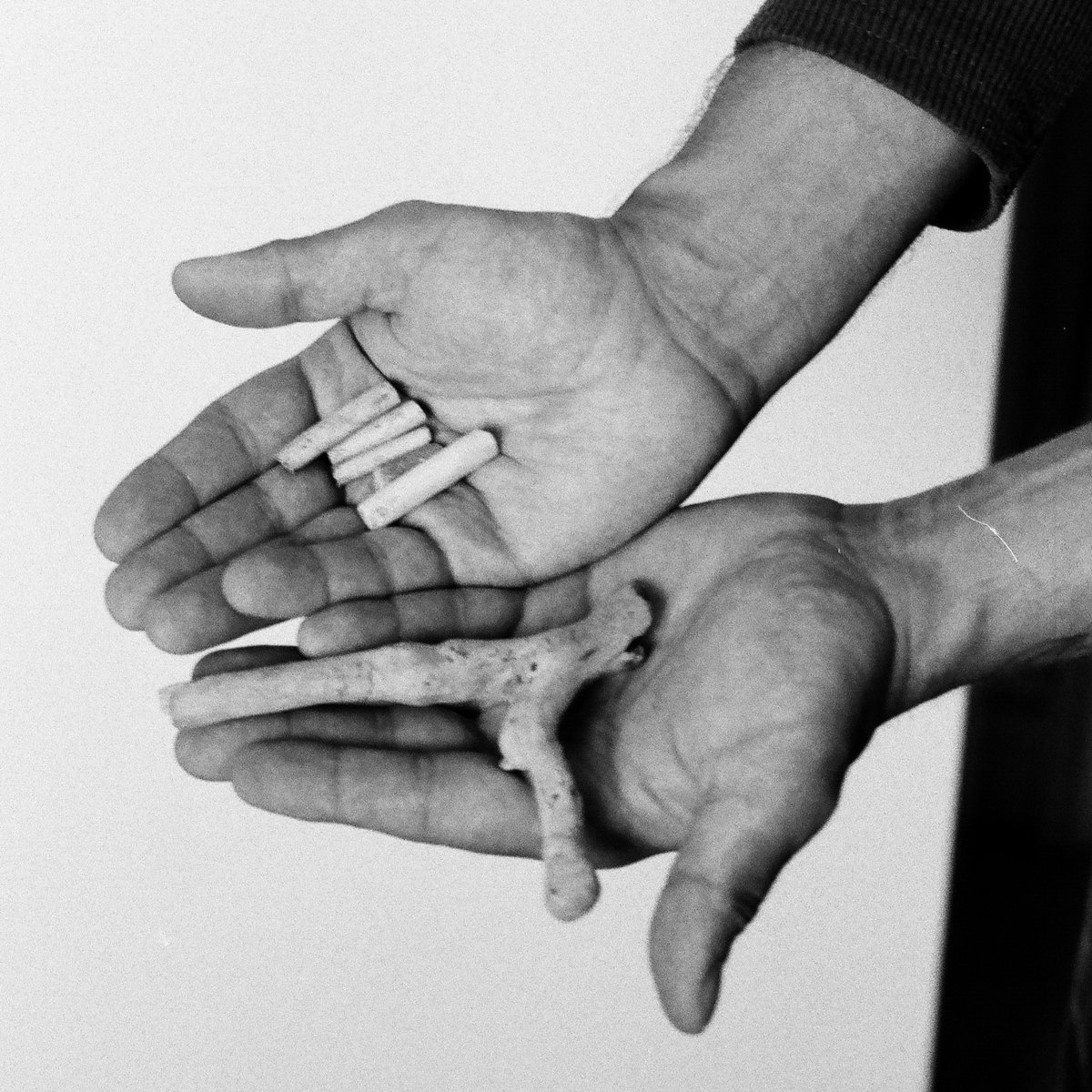 Book of Churches.jpeg