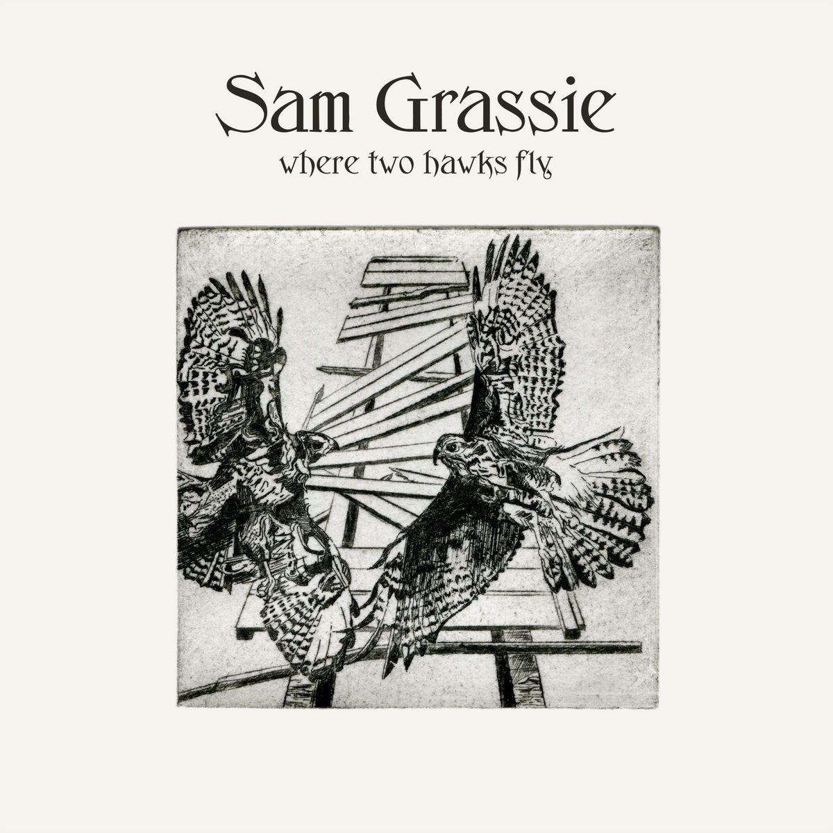 Sam Grassie - Where Two Hawks Fly.jpeg