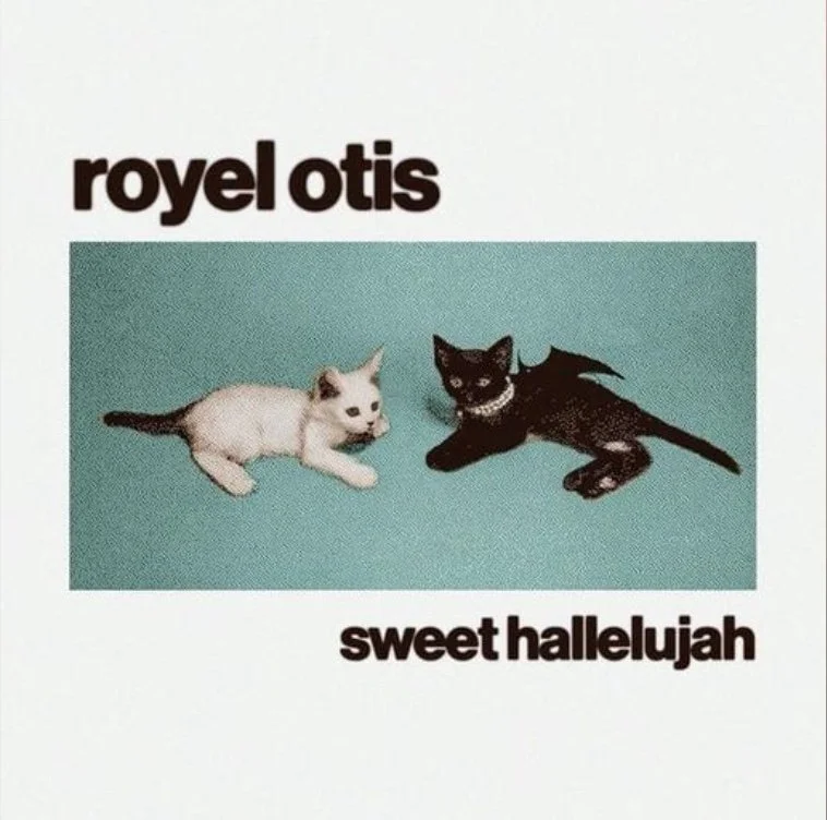 Royel Otis - Sweet Hallelujah.jpeg