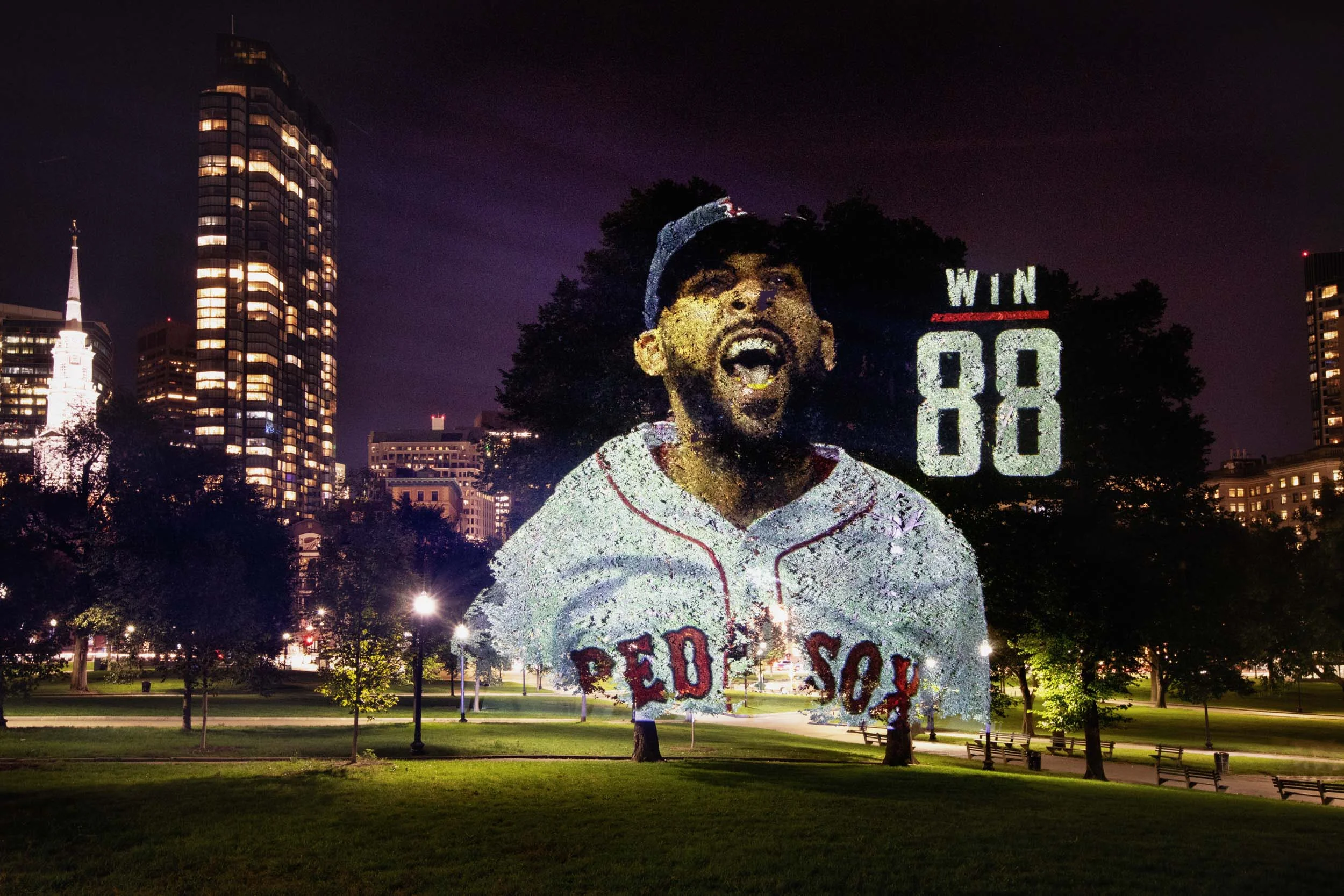 Sox-Common-6.jpg