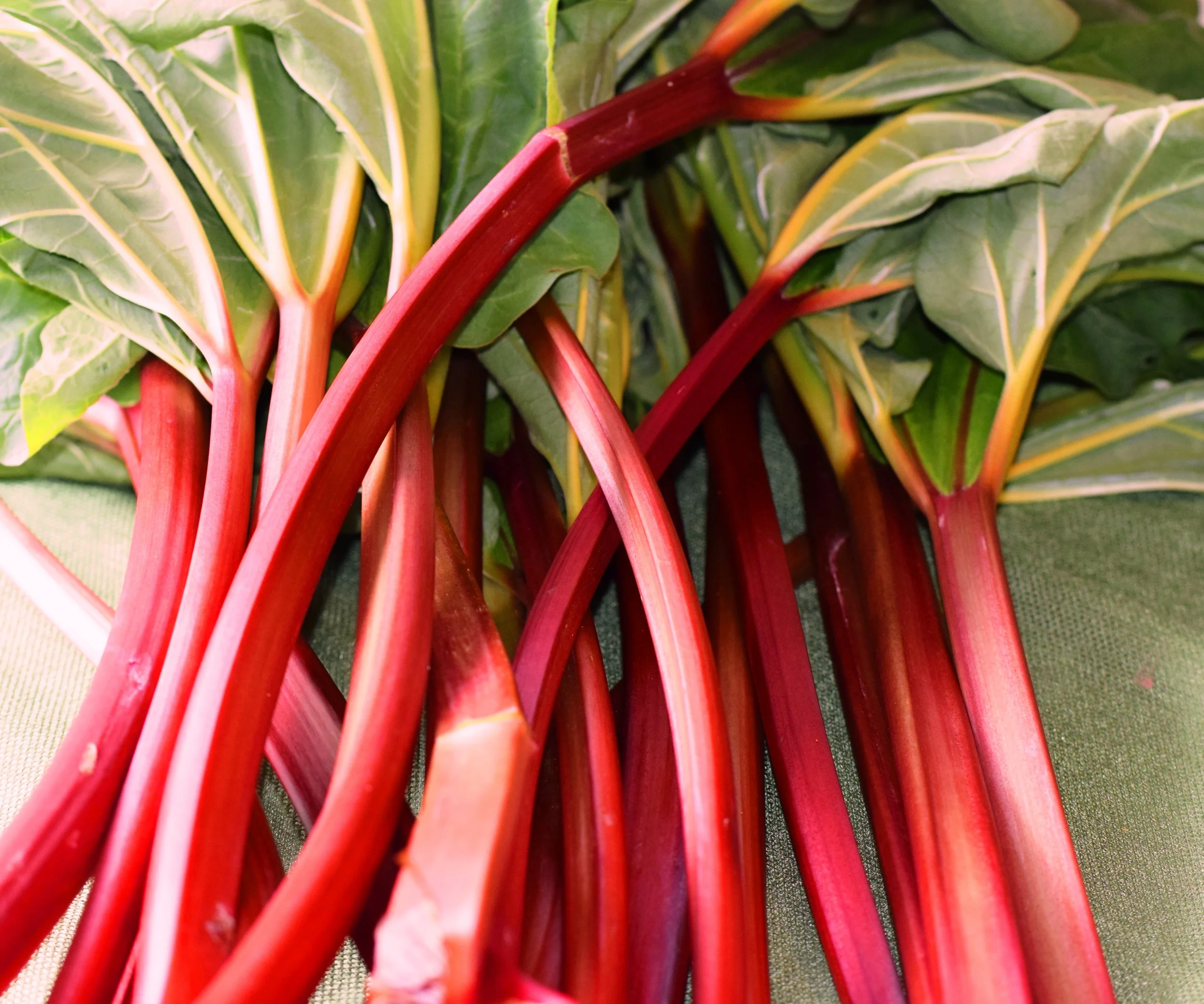 What exactly is rhubarb?
