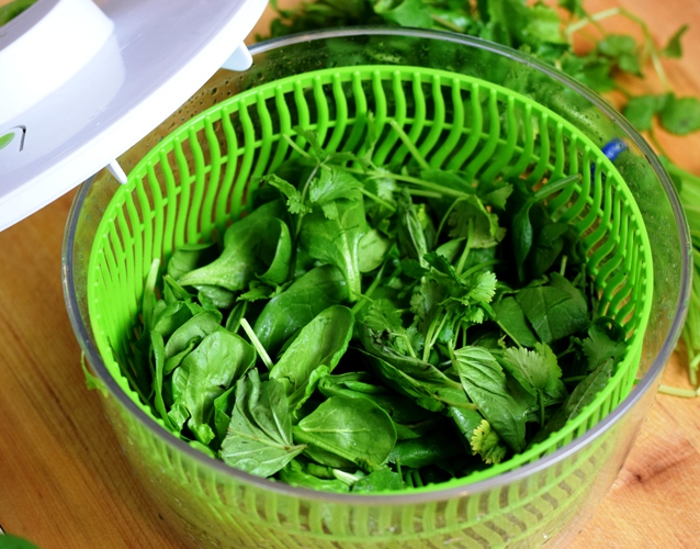 Herbs & spinach clean, dry and ready to make pesto!