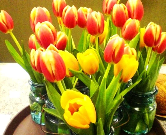 The April Edition is live, check out these Spring recipes!