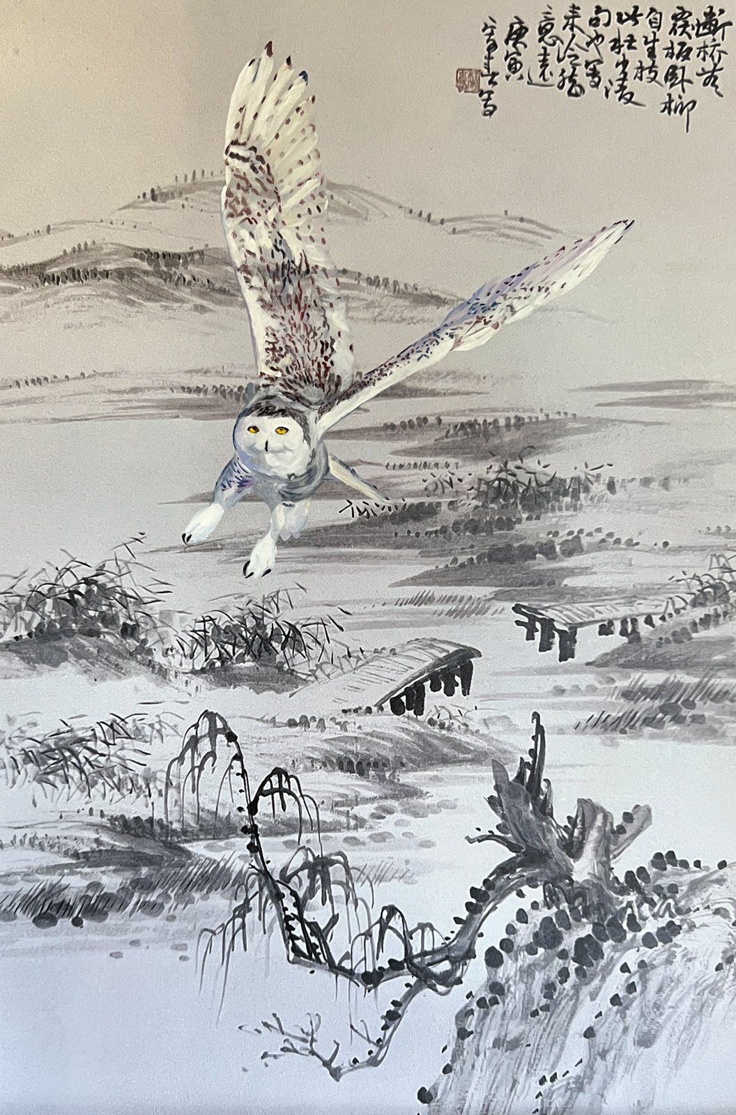 Soar1.jpg