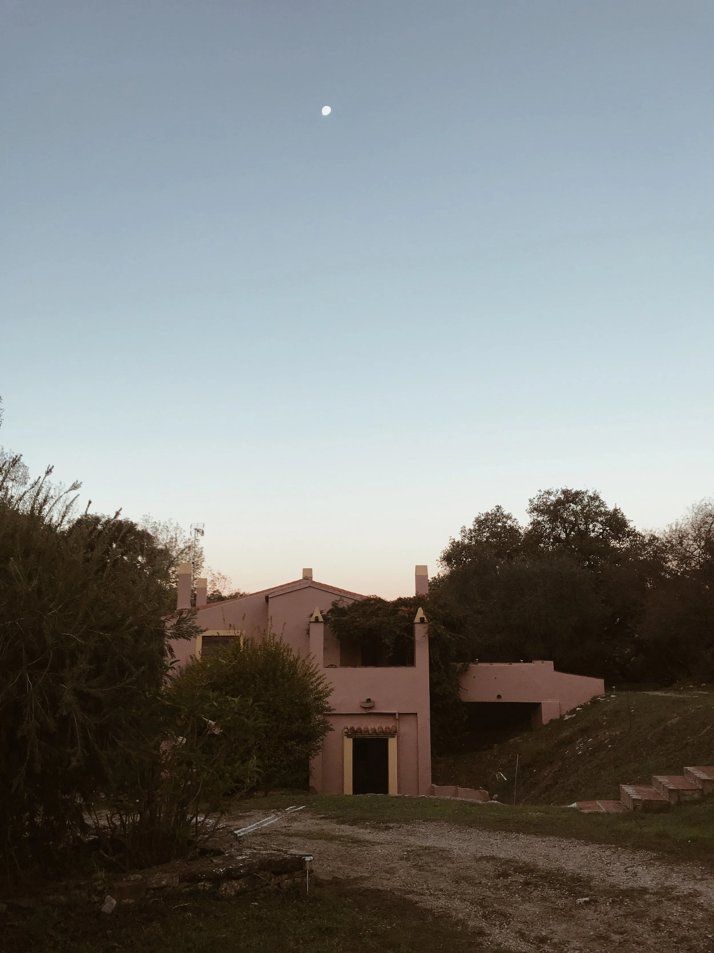 the light pink house