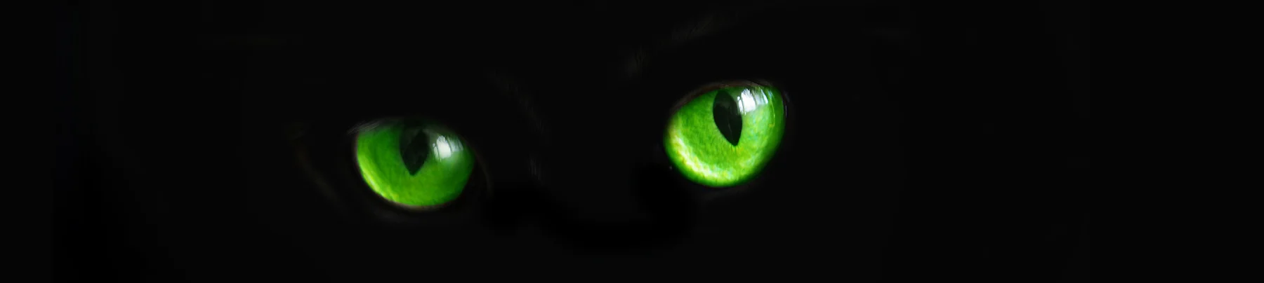 BlackCat-Eyes3.jpg