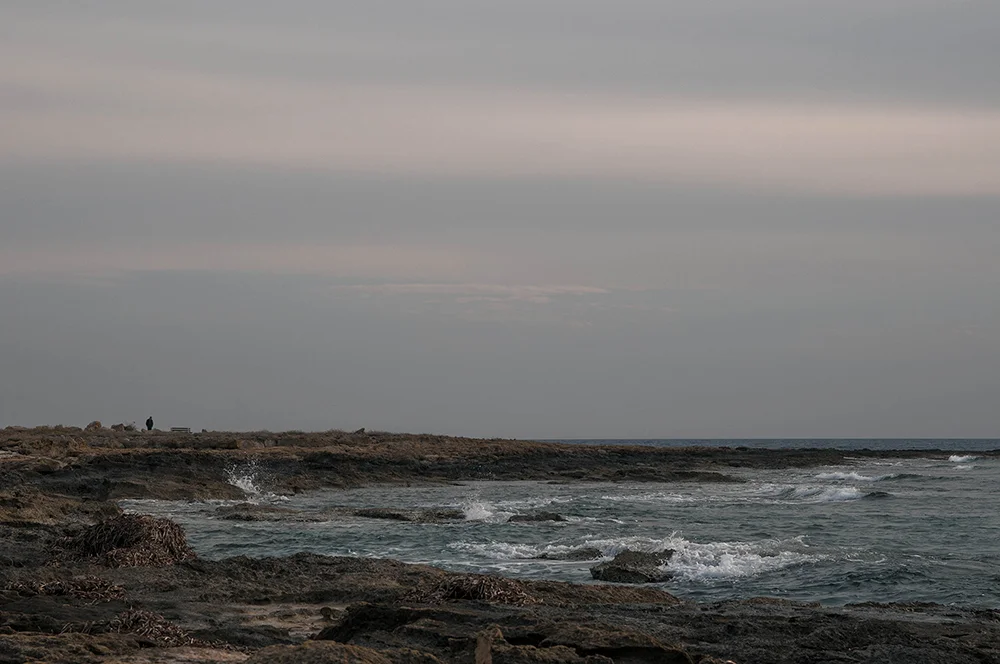 DSC_1523-2.jpg