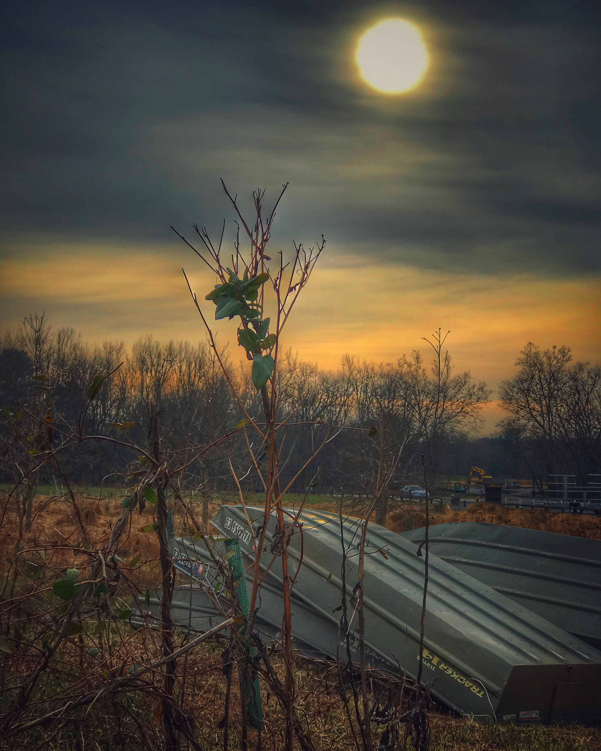 LowWinterSun.jpg