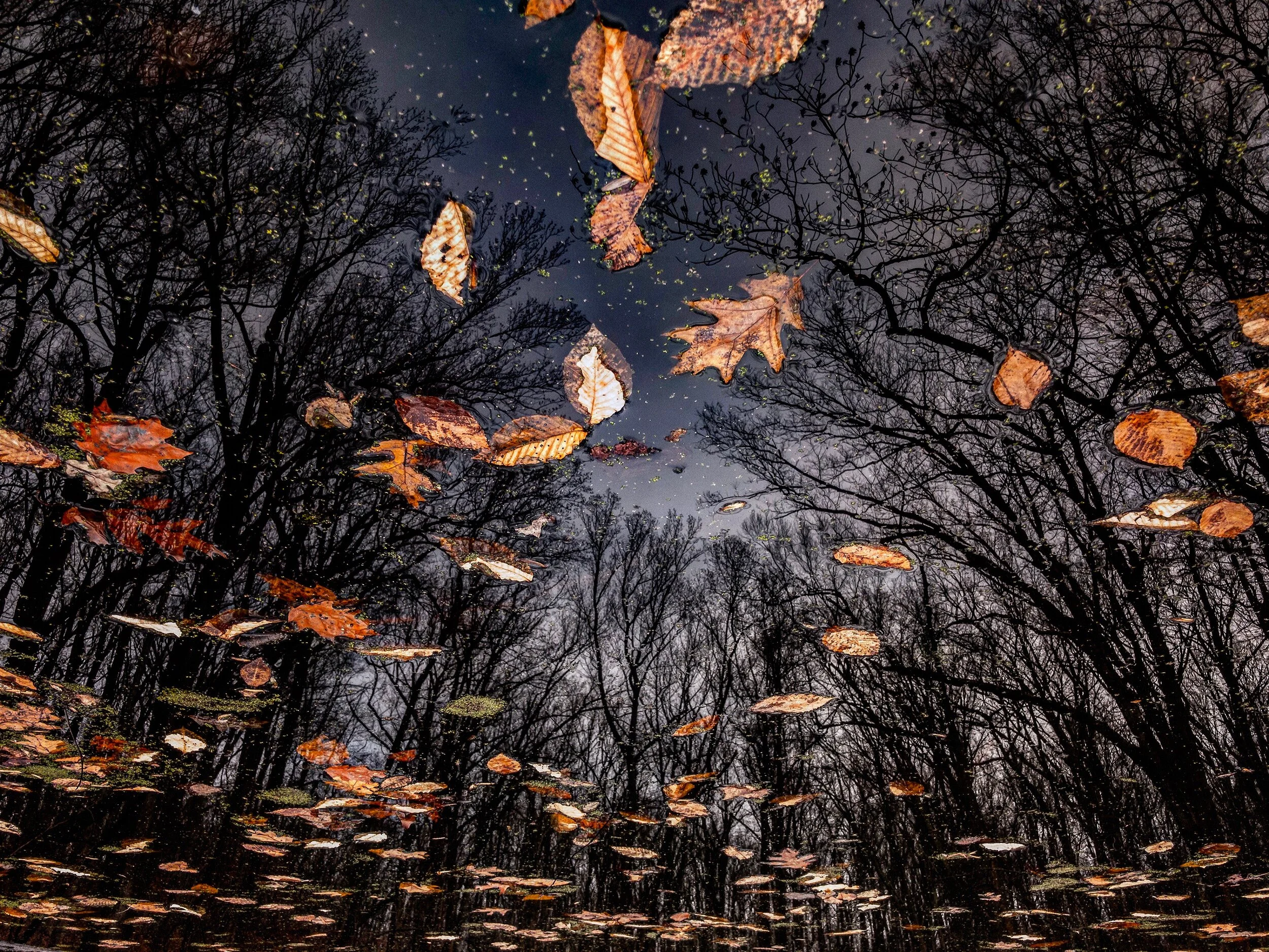 File Mar 06, 1 20 18 PM.jpeg