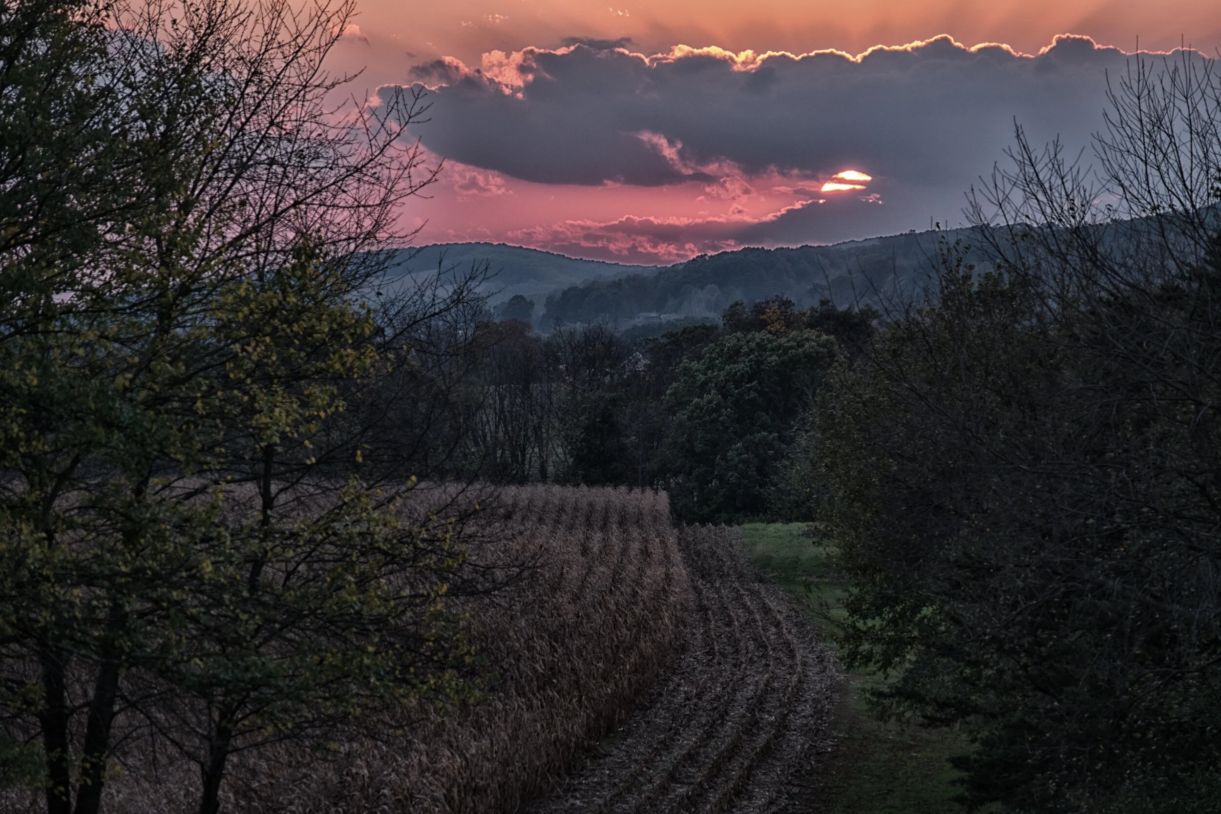 IrishValleySunset2.jpg