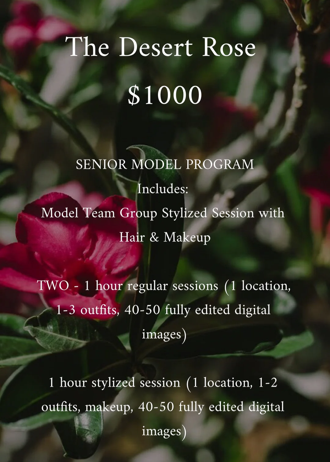 TheDeserttRoseClassof2020Packages_PhoenixSeniorPhotographer_SamanthaRosePhotography_-3.jpg