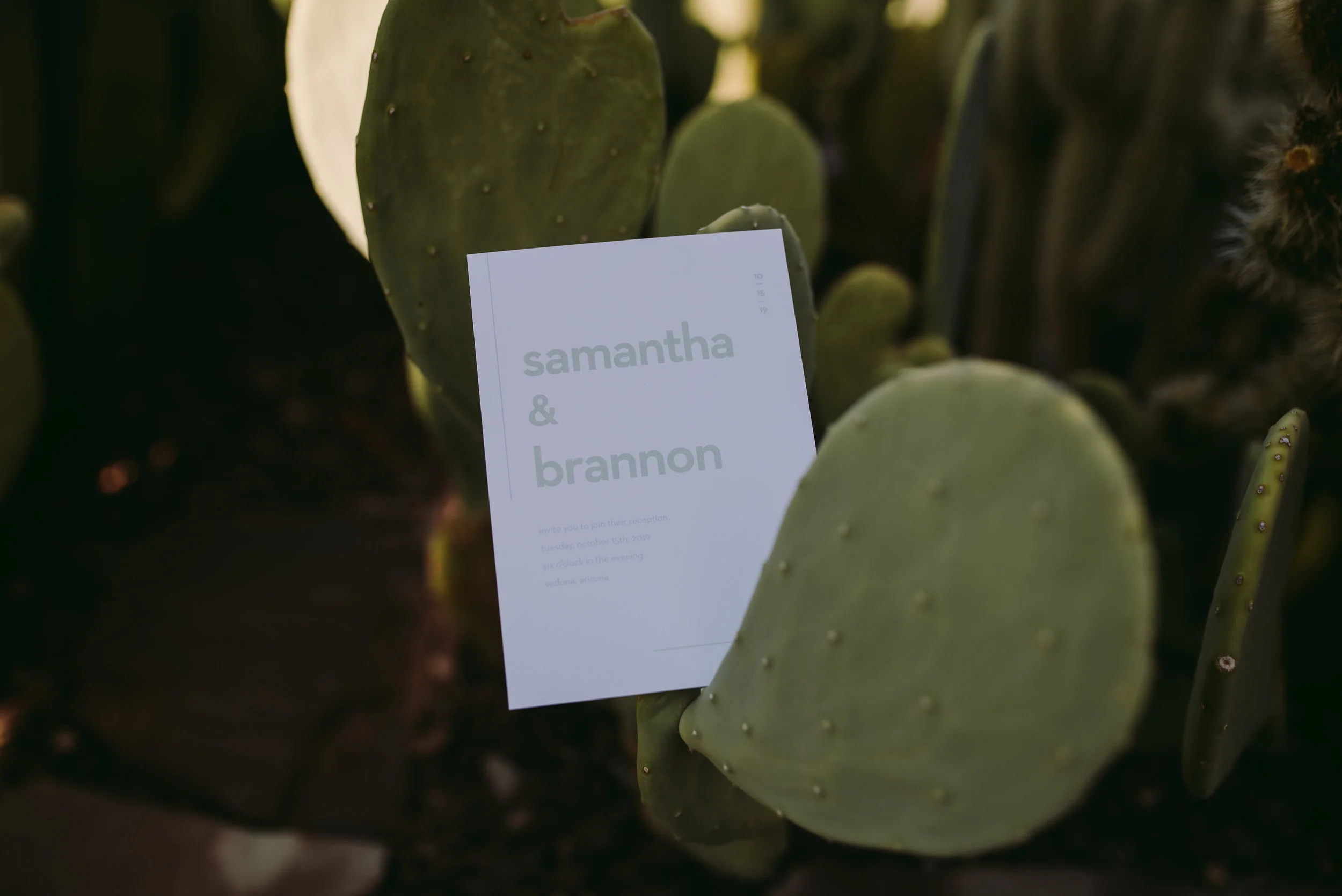 BasicInvite_Blog_CactusWeddingInvitations_PhoenixArizonaWeddingPhotographer_SamanthaRosePhotography_-5.jpg