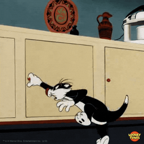 giphy (17).gif