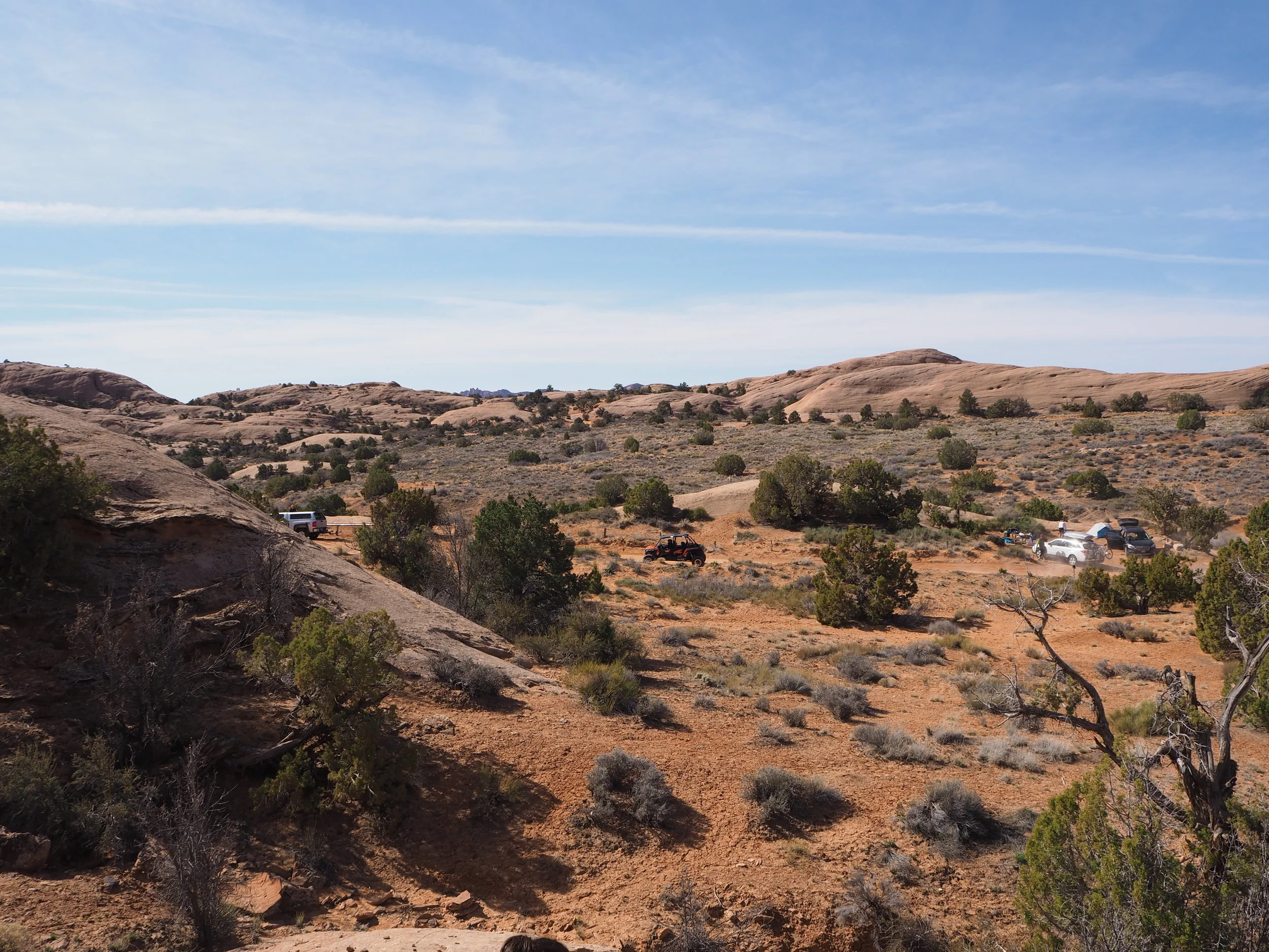 P3160731.JPG