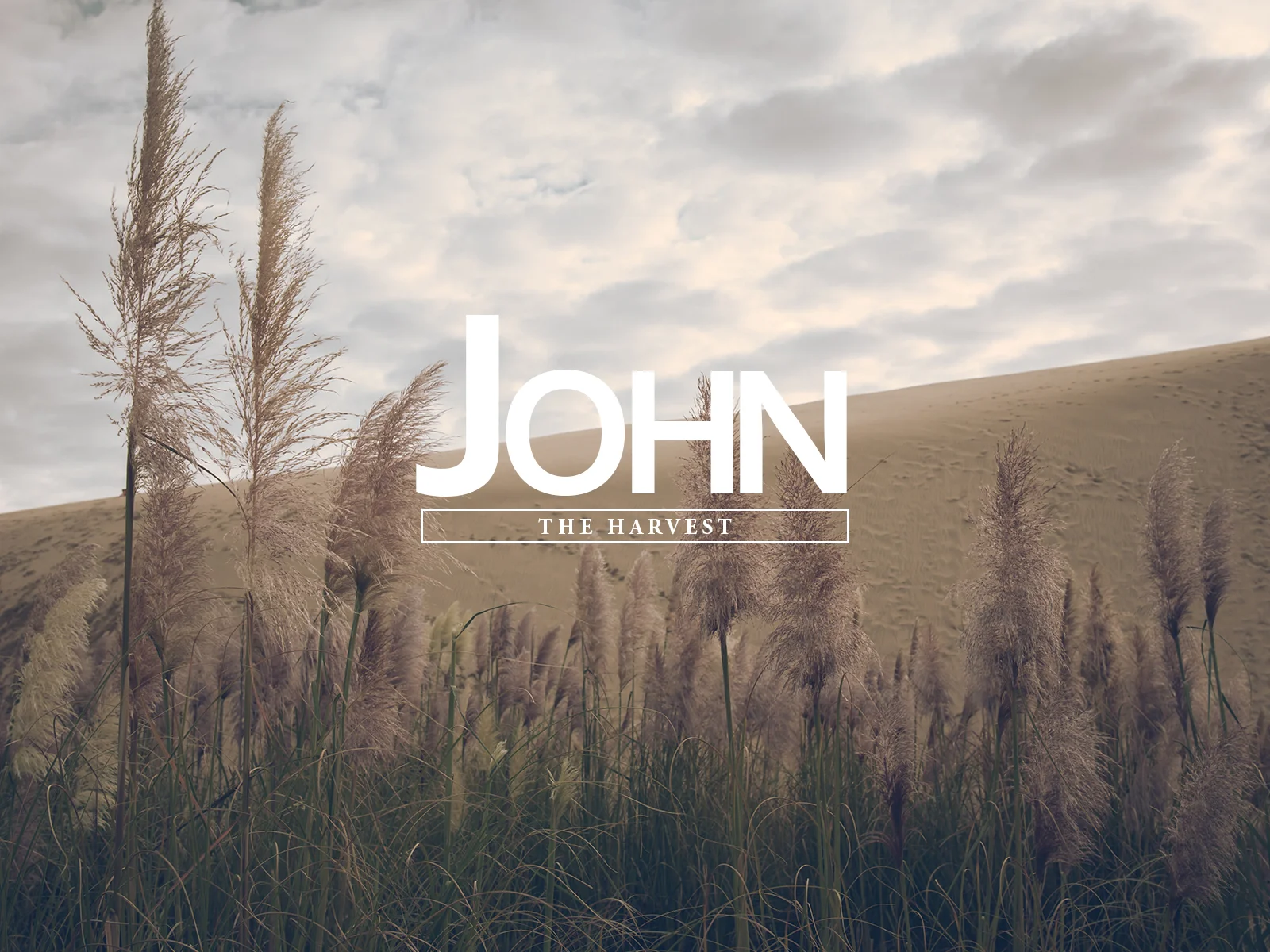 John 4:27-42