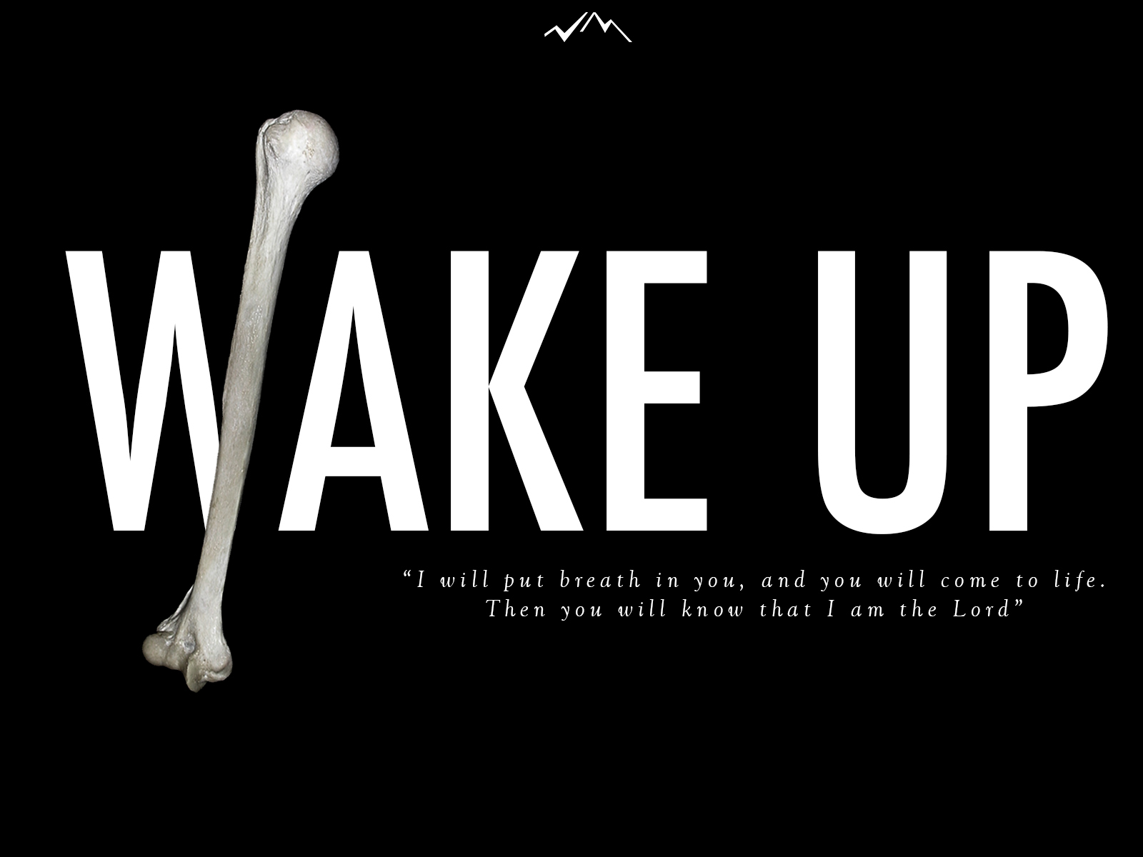 Wake Up