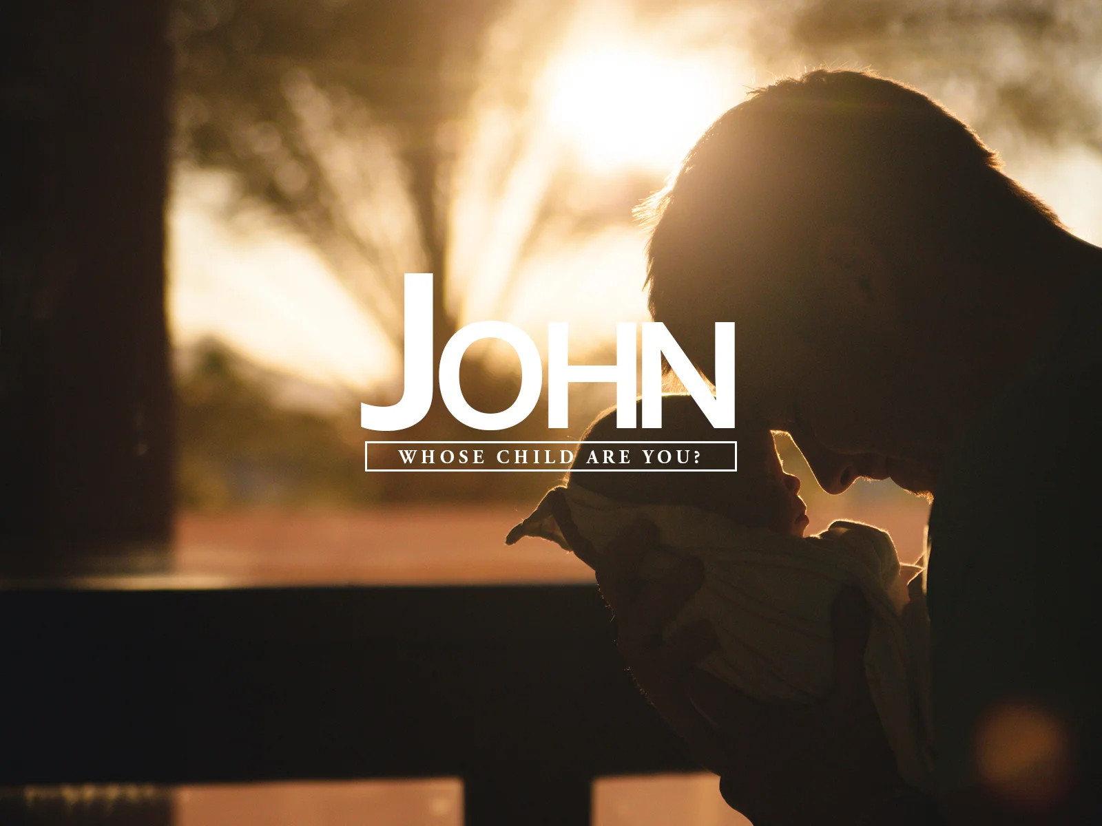 John 8:37-47