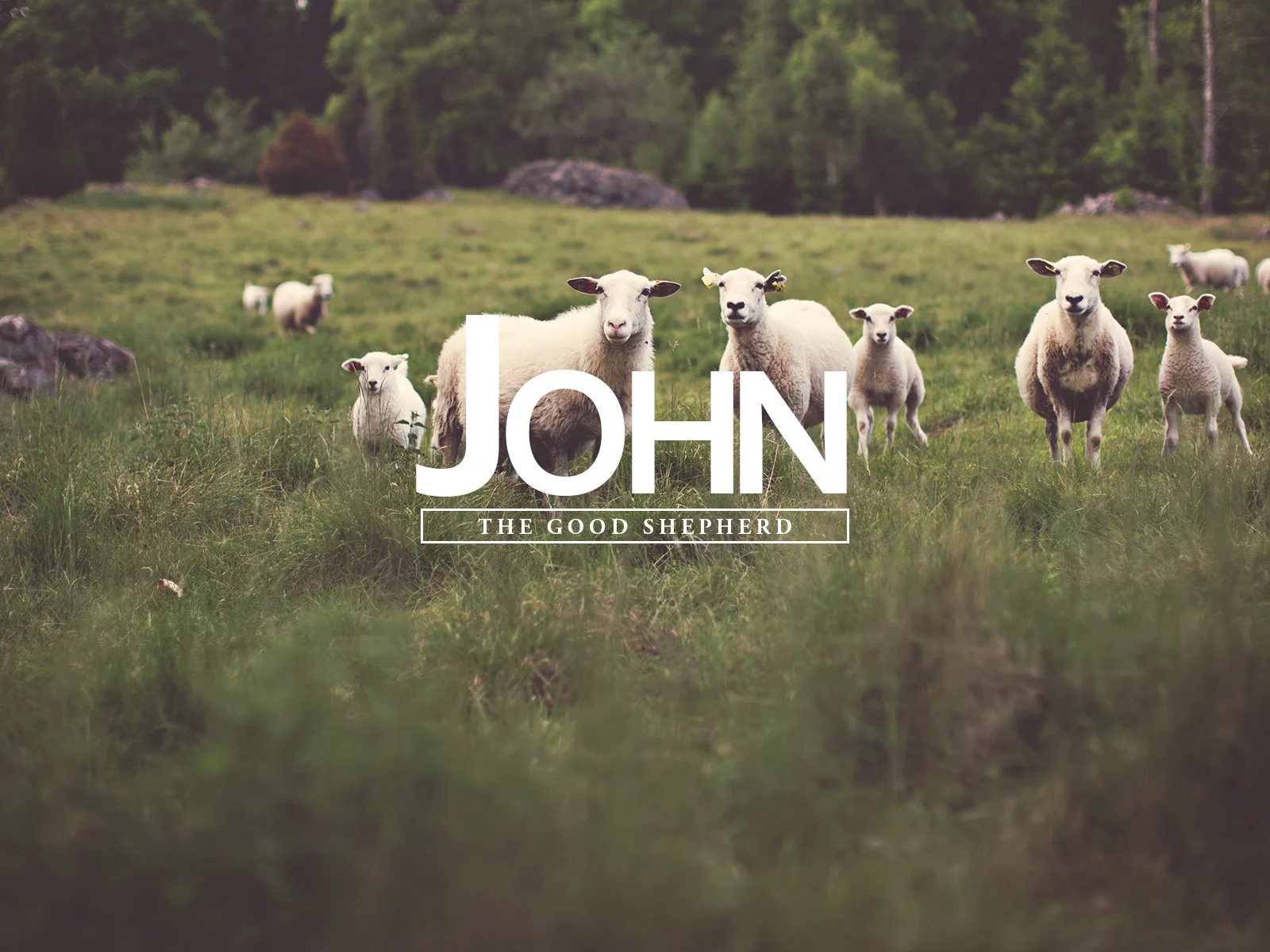 John 10:1-13