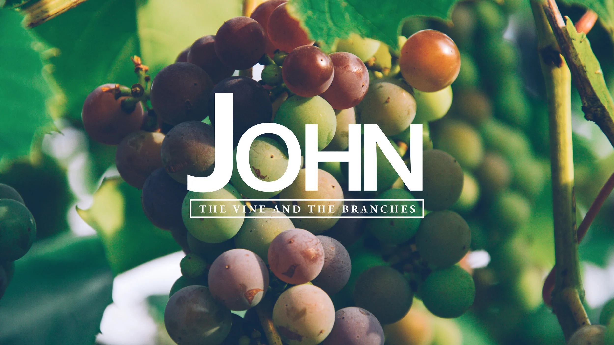      

 
   August 7, 2017   The Text: Read John 15:1-8   Jesus begins a beautiful allegory describing himself as the vine. He teaches the importance of connection to the vine for the purpose of bearing kingdom fruit. Jesus lets us know that God the 