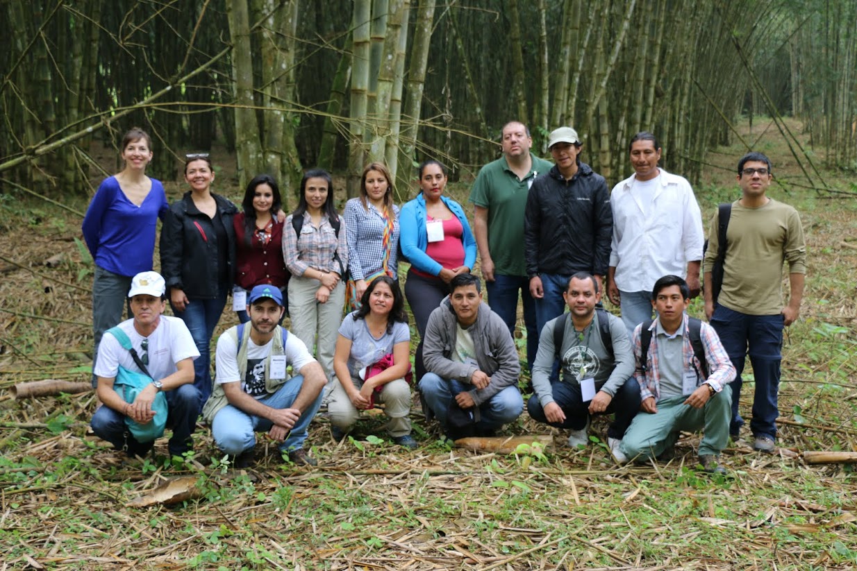 group field pic.jpg