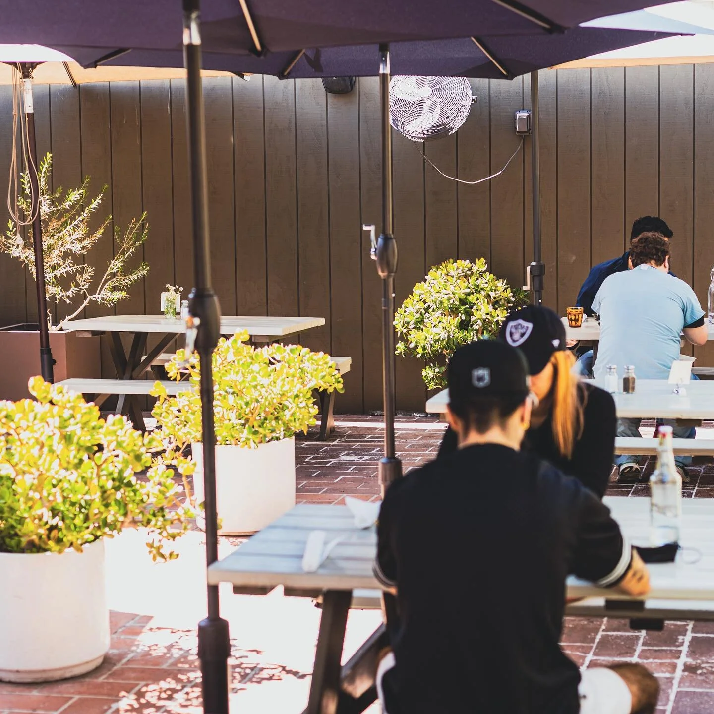 Happy Friday! 🍵🌵