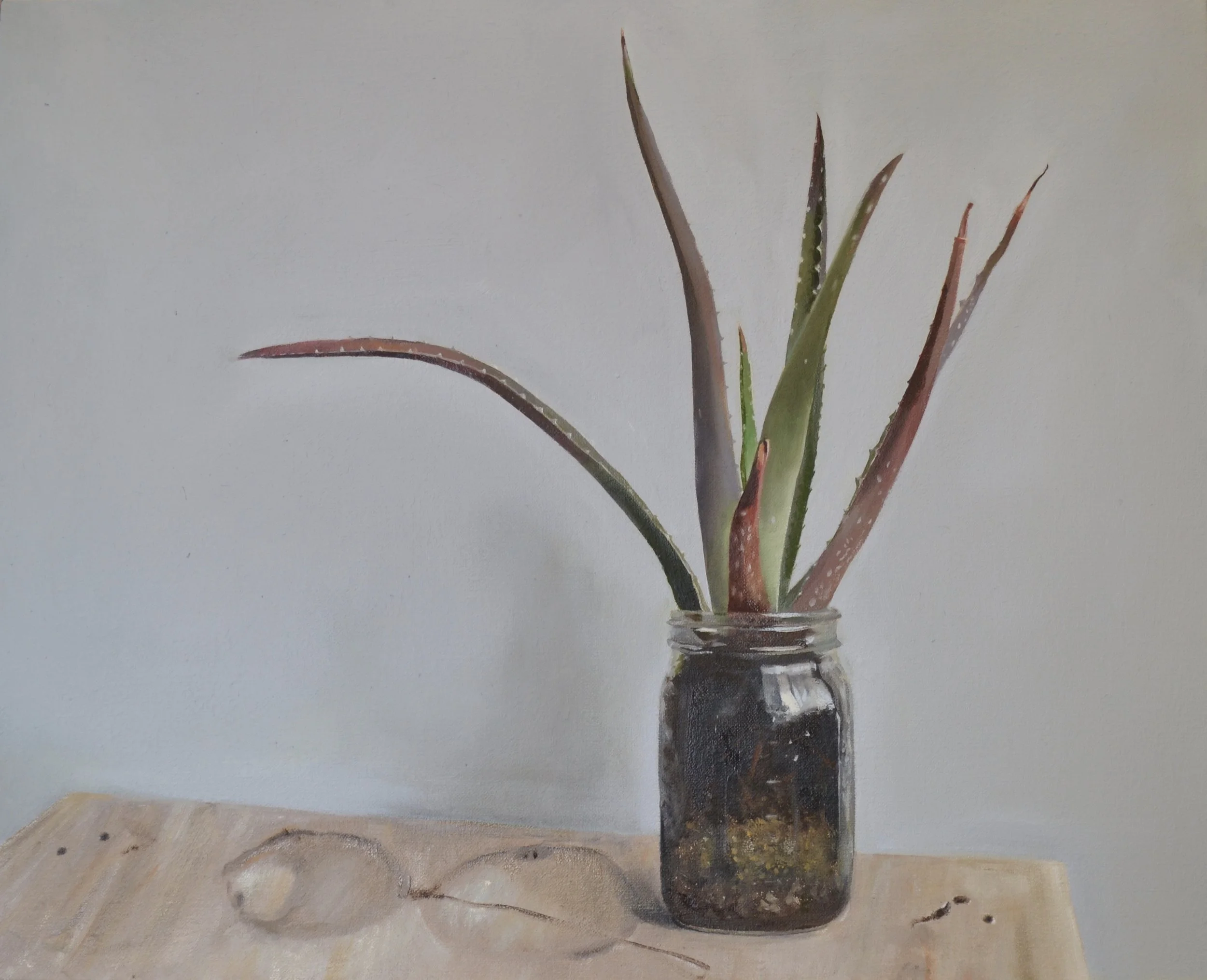 Aloe, oil on linen, 20" x 16"
