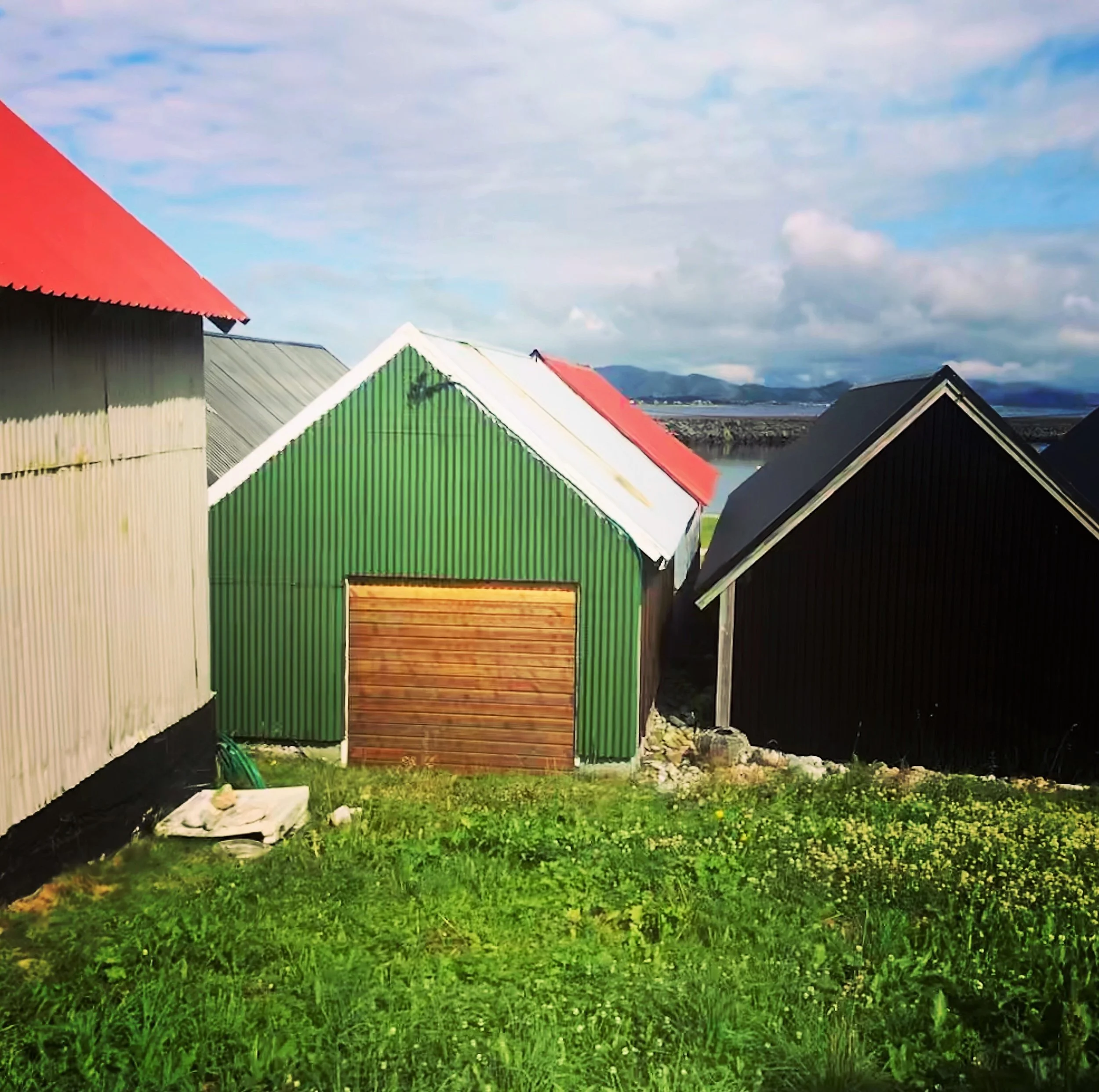 They love a good shed.