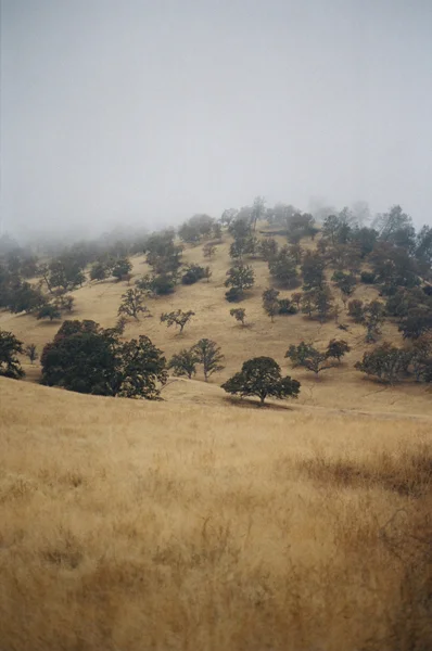 california_005.JPG