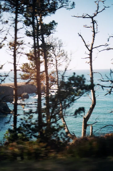 california_0015.JPG