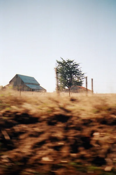 california_0016.JPG