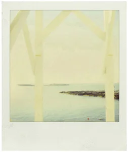 polaroid001.jpg