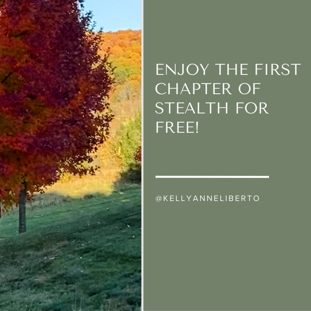 Enjoy The First Chapter Of Stealth For Free! 