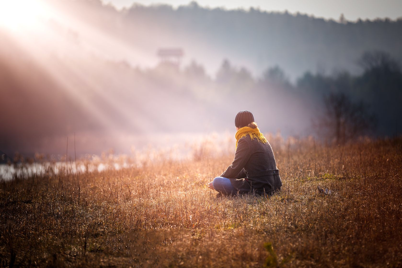 Grief Counseling Grief Loss Littleton Colorado Denver Colorado
