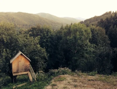 Mountain cabin representing relocation, transition, and online therapy for expats in Colorado and California