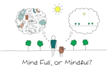 Mindfulness expats stress exchange student denver therapist