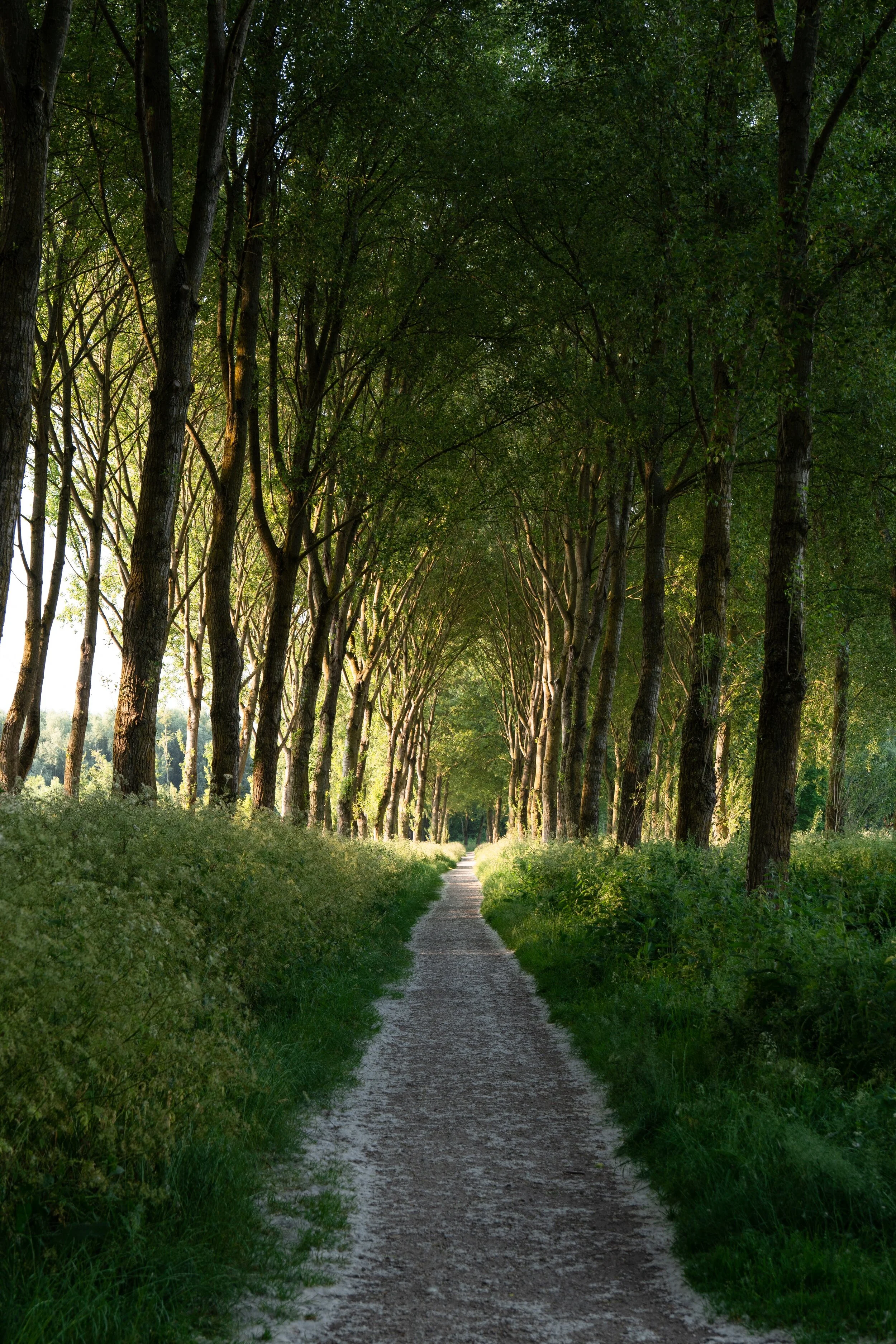 Online psychotherapy for individuals and couples in Denver Colorado and California with Valerie Abitbol, MA, LMFT
