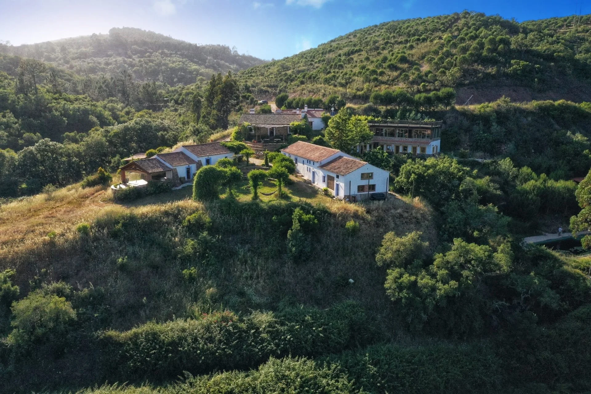 landscape 6.JPG