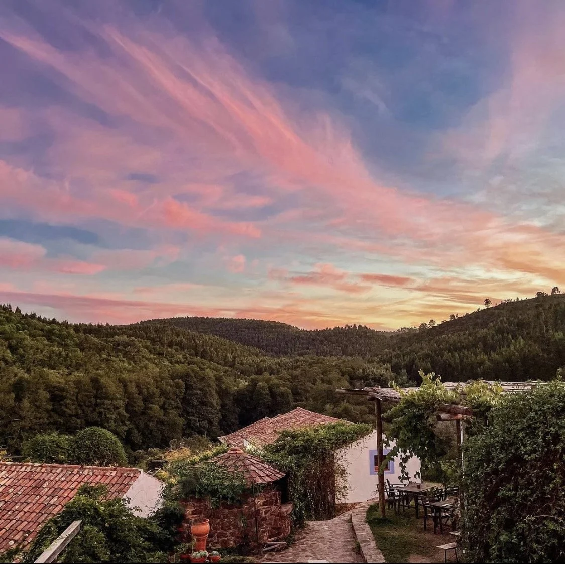 landscape 8.JPG