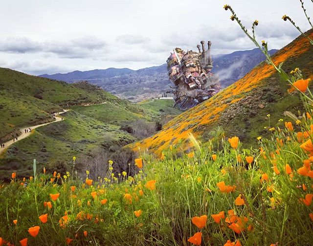 Pretty lucky with the superbloom shots today 👌